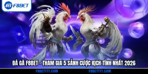Đá gà F8BET