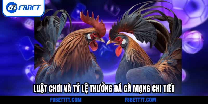 Luật chơi và tỷ lệ thưởng đá gà mạng chi tiết